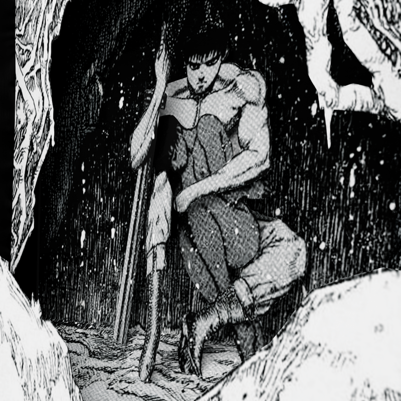 Berserk - Refugio en la Tempestad